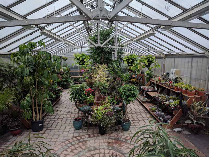 Greenhouse -Indoor Plants, Succulents | Country Mile Gardens