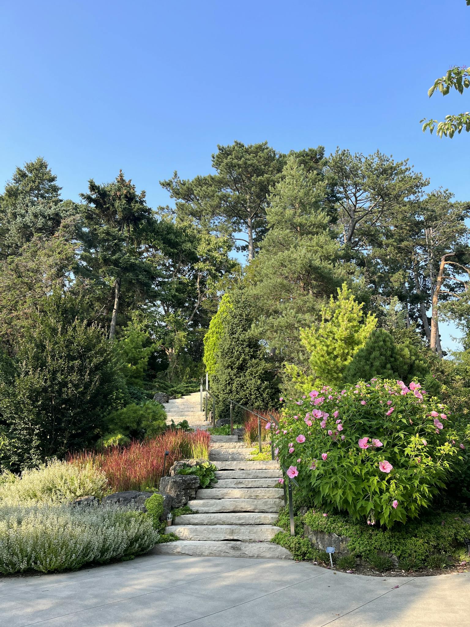 Scenic pathway through vibrant flora in Hamilton Botanical Garden, Canada, showcasing fall colors.