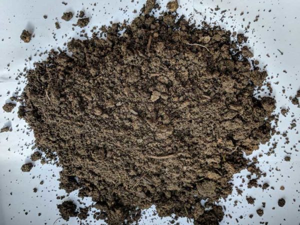 Bulk Premium Screened Topsoil