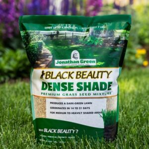 Black Beauty Dense Shade Grass Seed