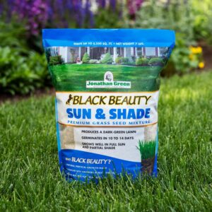 Black Beauty Sun & Shade Grass Seed